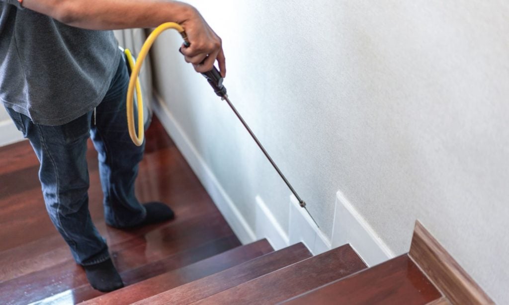 一名滅蟲公司的滅蟲專家在進行滅蟲。