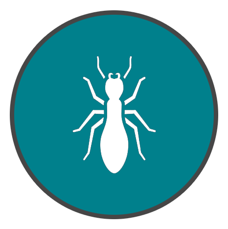 由滅蟲公司設計的，一個白色白蟻標圖示出現在藍色綠色的圓形中。