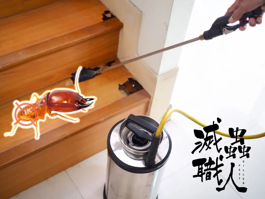 一名滅蟲專家正在樓梯上使用殺蟲劑殺滅一隻白蟻。