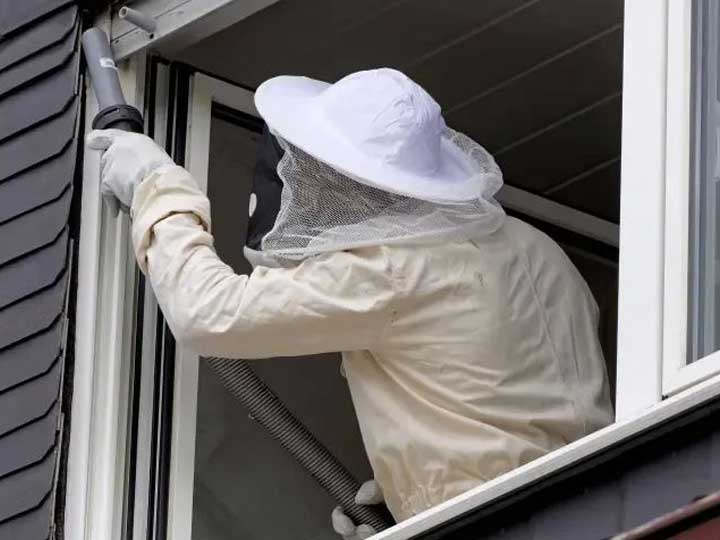 一個男人正在處理蜂巢