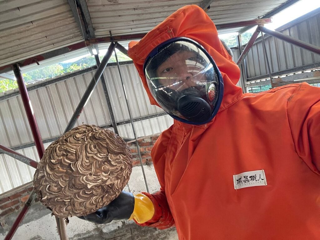一名身穿橙色防護衣並配戴口罩的工作人員,在半開放且設有頂棚的建築物內,手持大型馬蜂窩,專業地示範香港的蜂巢處理服務。